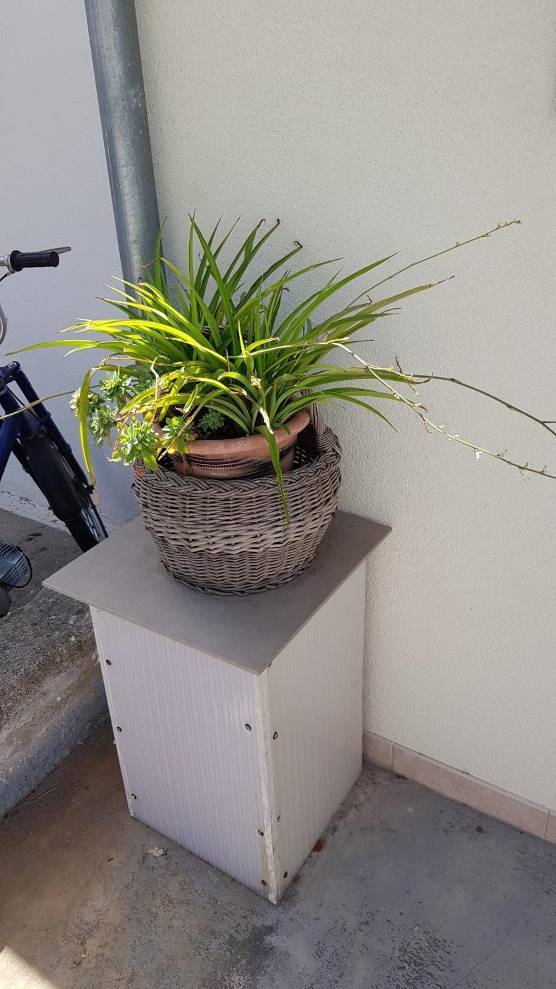 חוואר Apartments Bocin Rosso מראה חיצוני תמונה